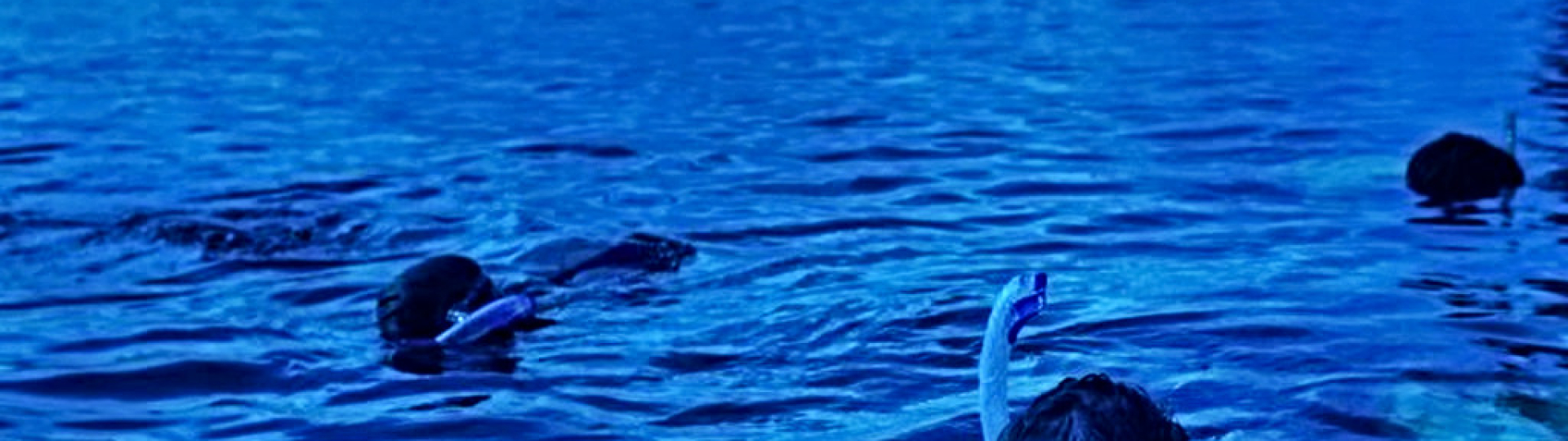 SNORKELING NOTTURNO