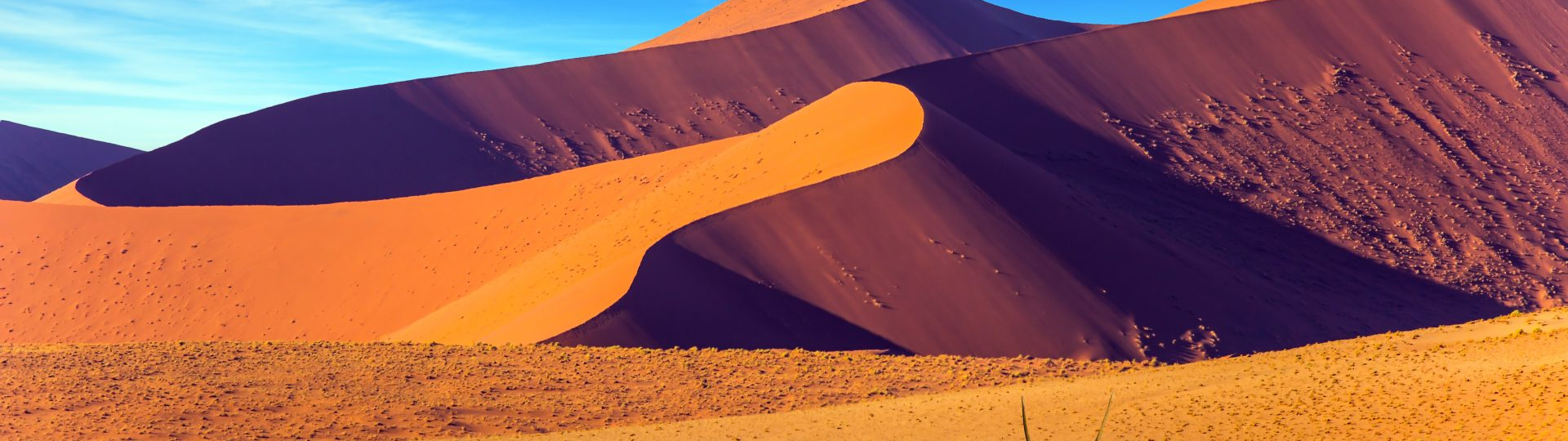 Meraviglie di un viaggio in Namibia - I Mercoledi di Pozzo Garitta 