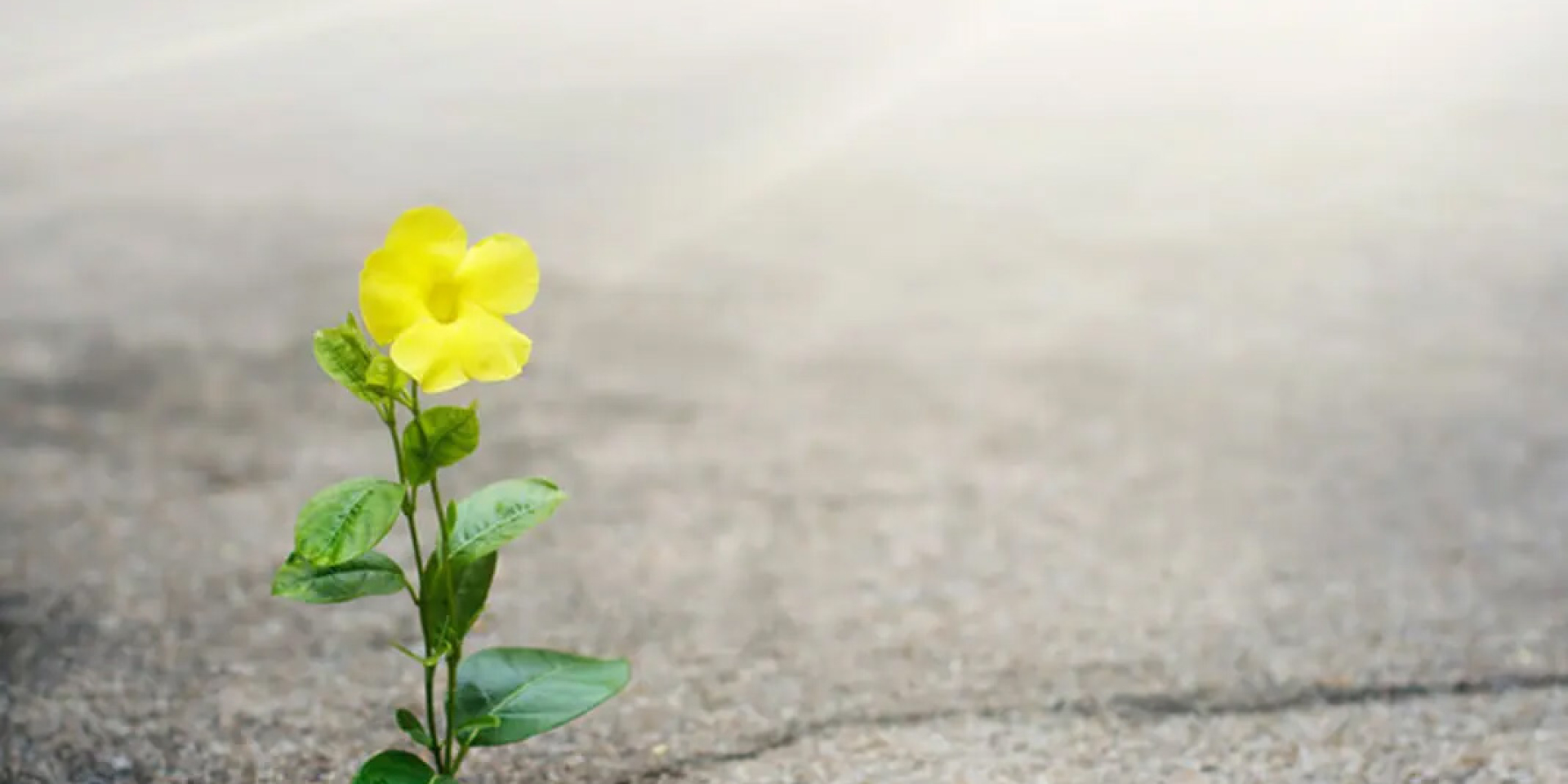 SENZA PERDERE LA GIOIA - giovedì 23 aprile